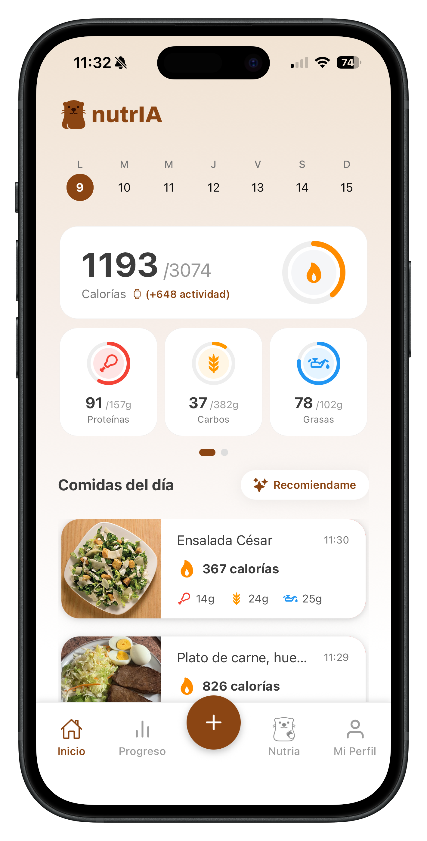 Dashboard